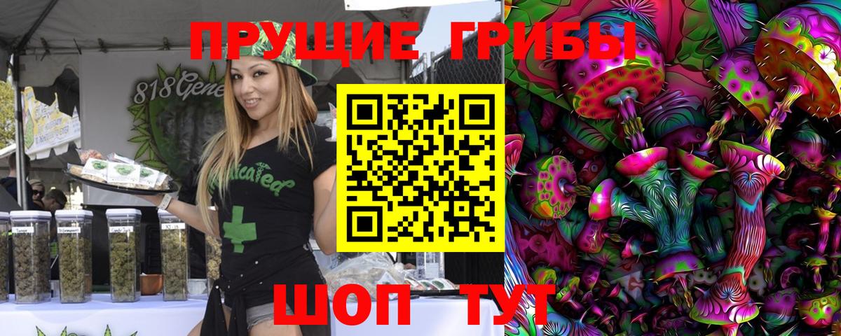 Галлюциногенные грибы MAGIC MUSHROOMS Кимовск